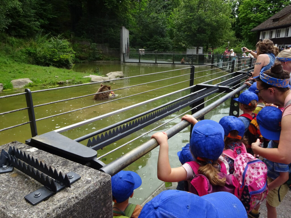 ausflug-kita-kinderhaus-baar-tierpark-blog