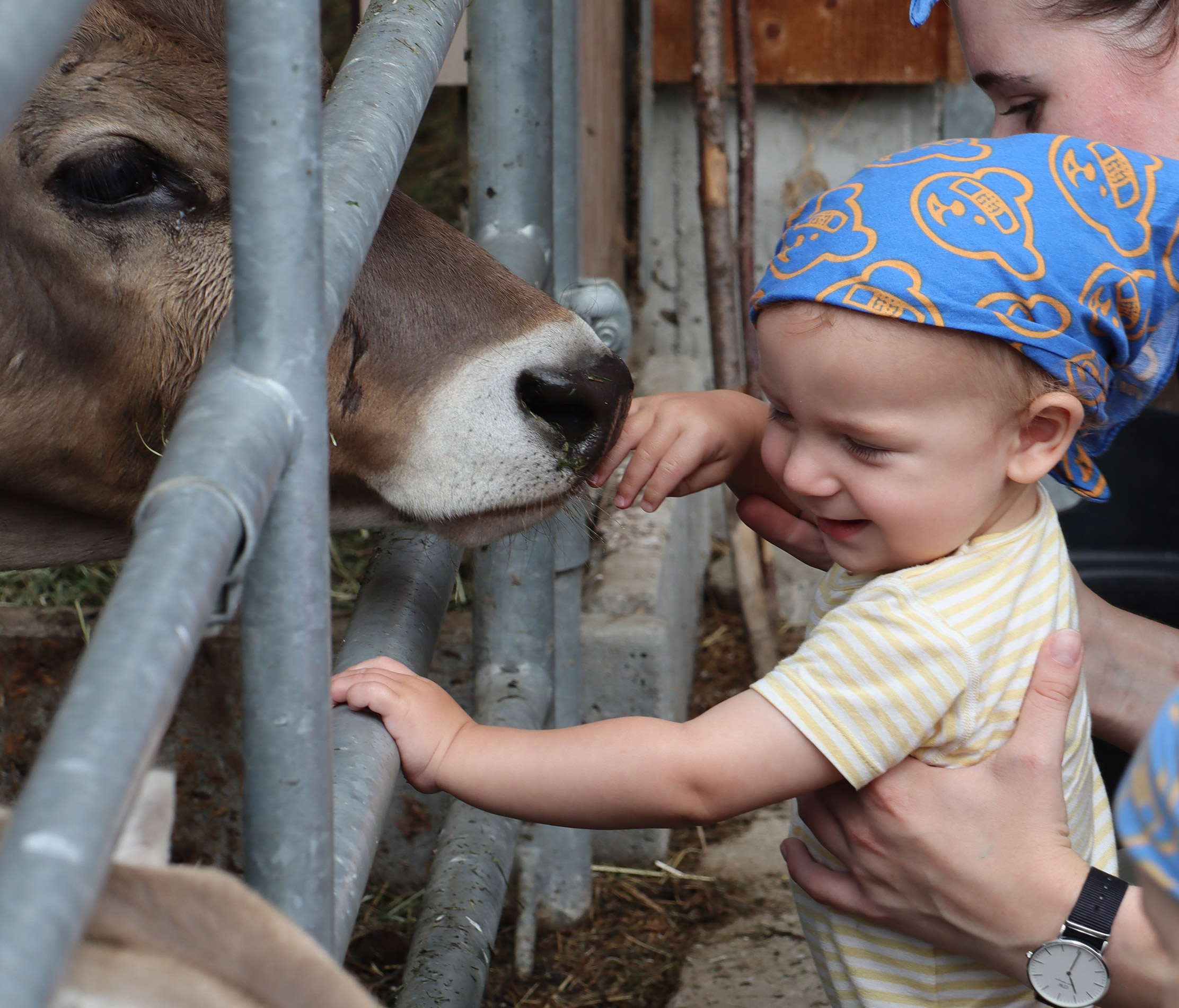 blogbeitrag-kita-baar-ausfluege-tiere