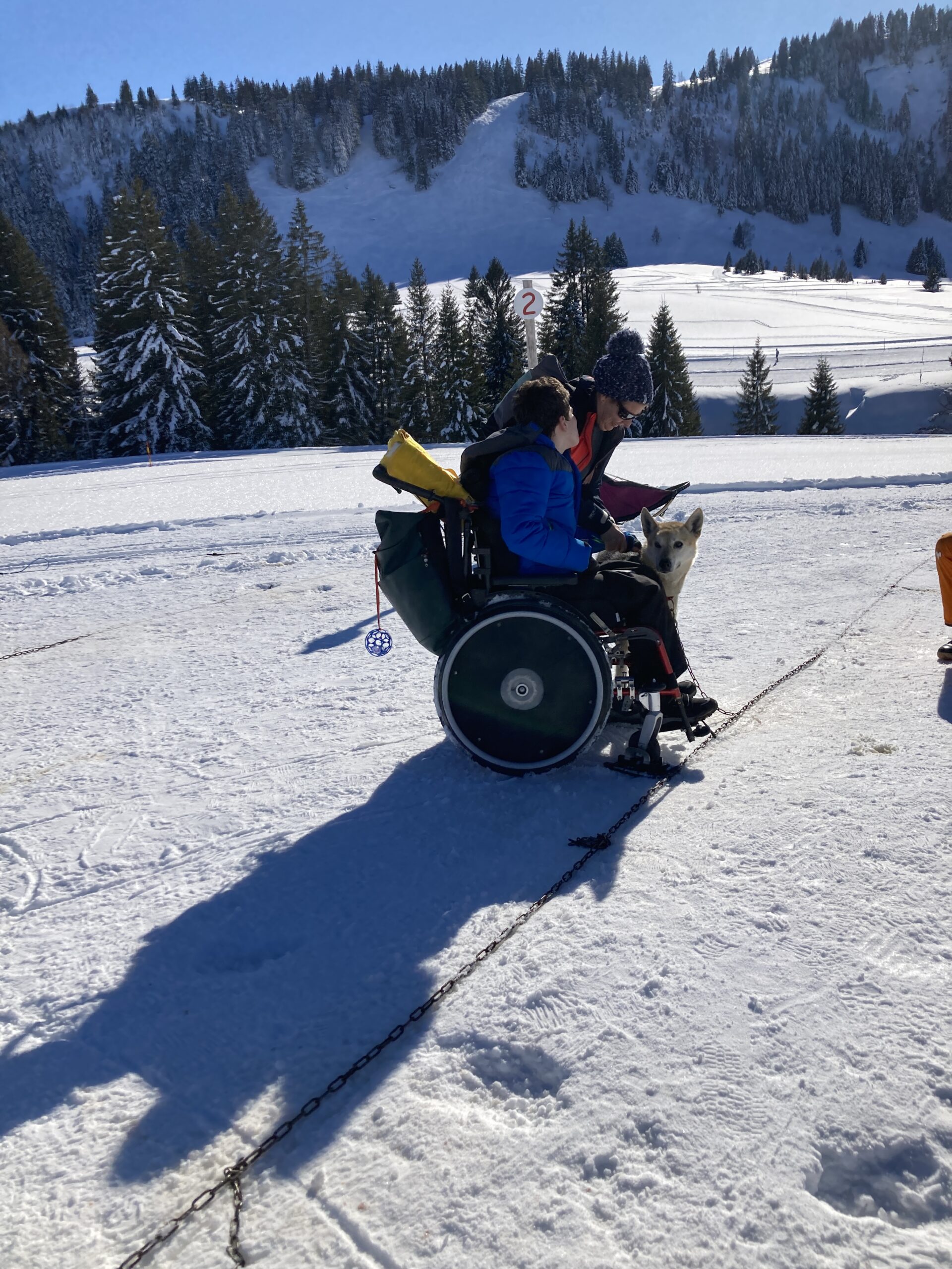 hunde-schlittenfahrt-kind-behinderung