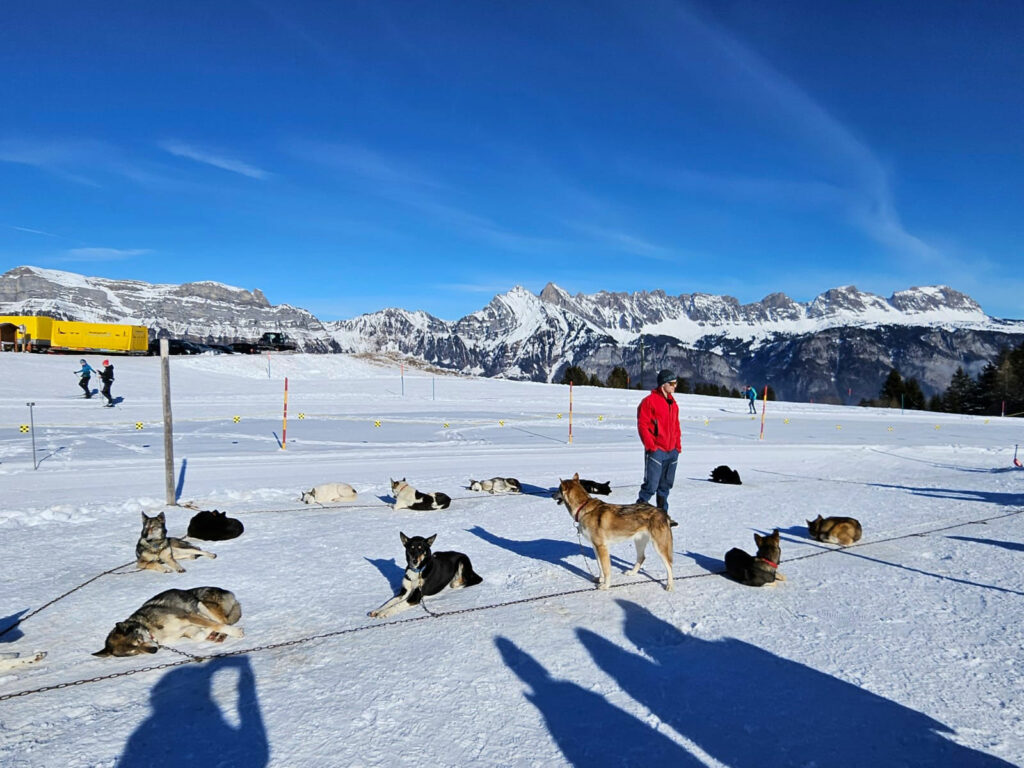 husky-schlitten-kind-behinderung