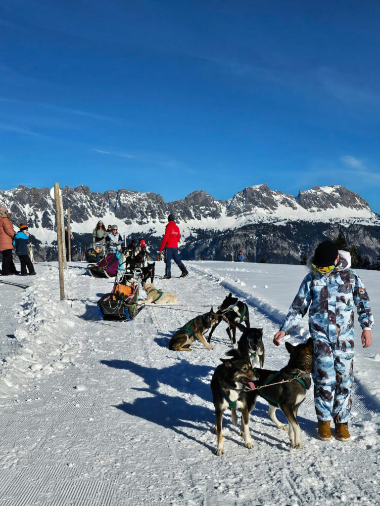 husky-schlittenhunde-kind-behinderung