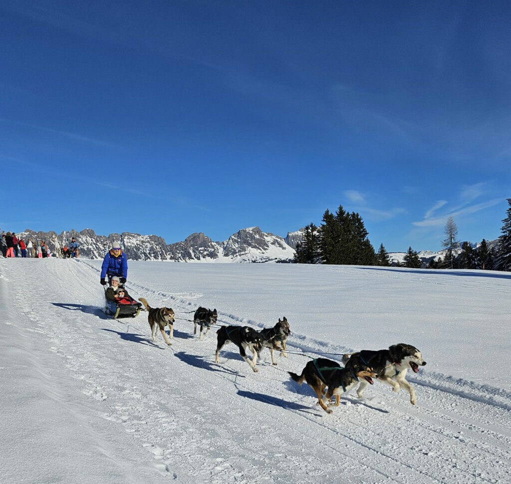 husky-schlittenhunde-visoparents